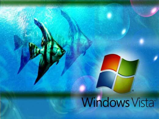 381683 (a): :1024x768